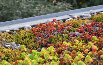 the cost of Kildrummy green roof installation