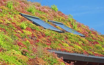 Kildrummy living roof systems